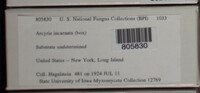 Image Associated With the Occurence